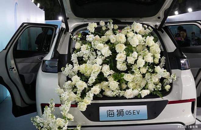 上市1178万元起售全系标配高阶智驾不朽情缘平台比亚迪海狮05EV正式(图4)